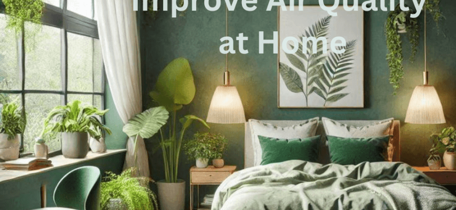 How Indoor Plants Can Improve Air Quality at Home image